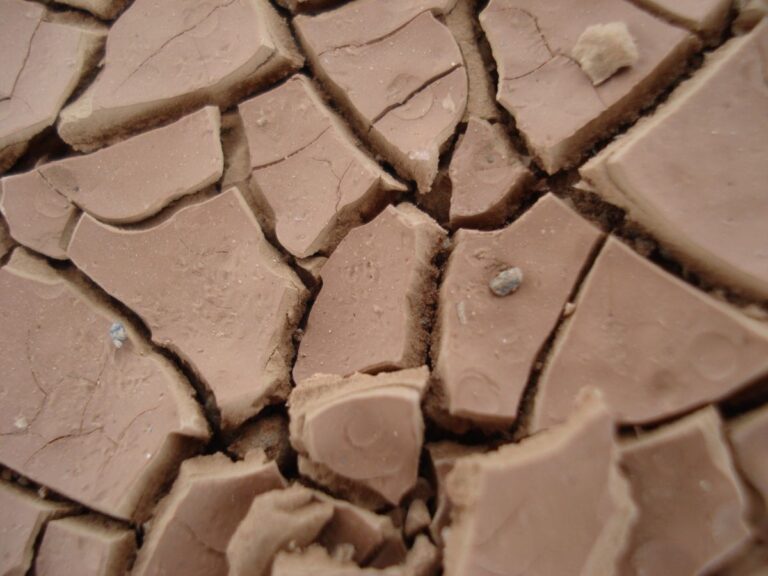 argile clay fissures