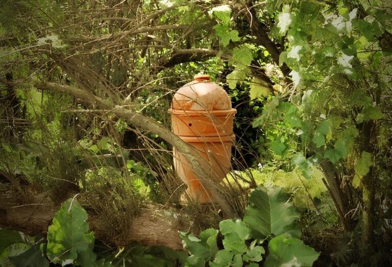 ruche ovoïde céramique nature forêt