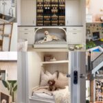 collage barkitecture idée décoration intérieur animaux