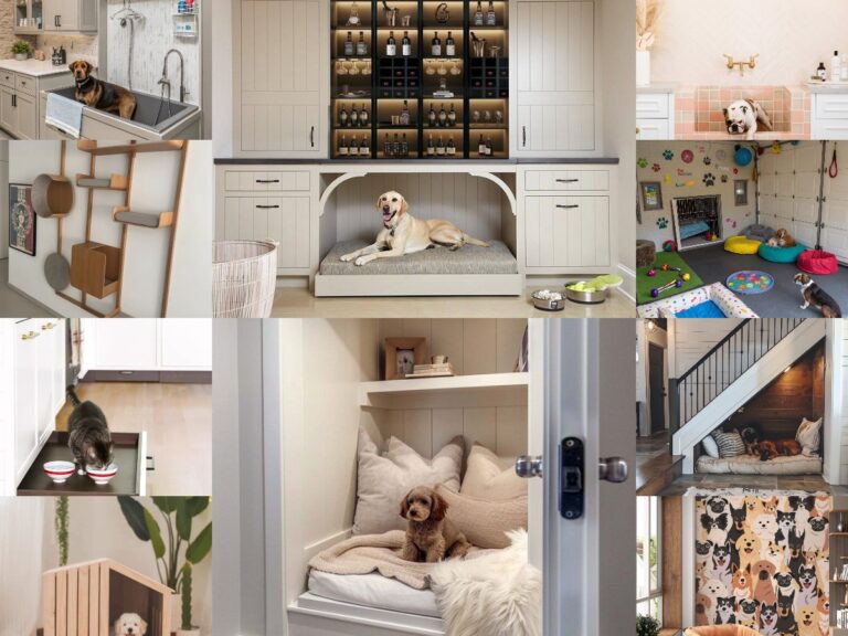collage barkitecture idée décoration intérieur animaux