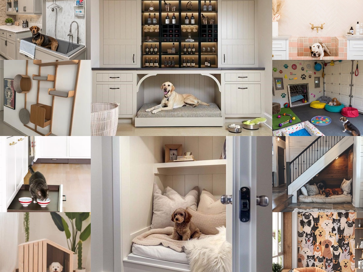 collage barkitecture idée décoration intérieur animaux