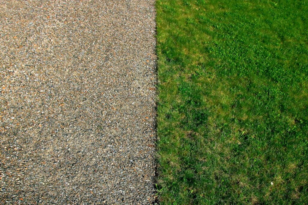 top view of green sod
