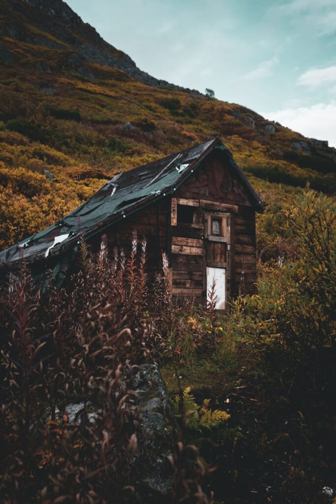 brown and black wooden house