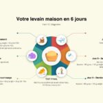 levain maison recette infographie miniature