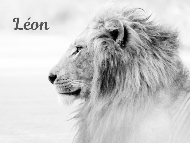idées prénoms liste exemple lion Léon