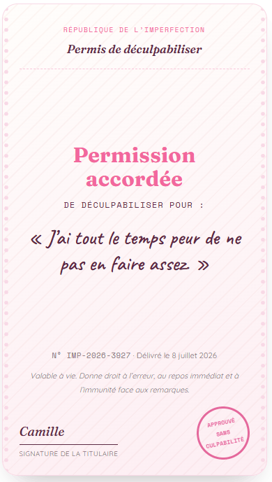 Exemple permis de déculpabiliser - Camille
