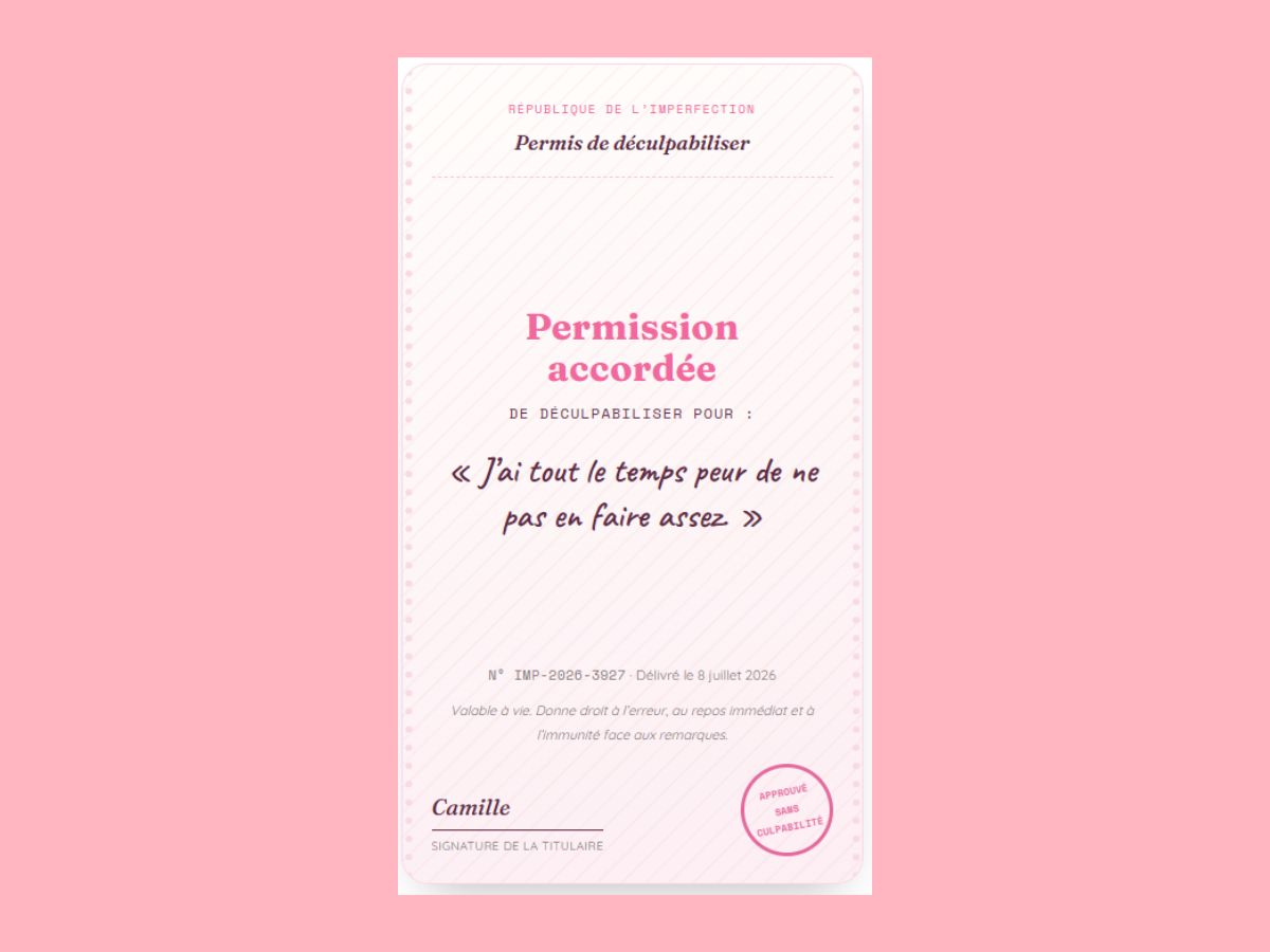Permis de déculpabiliser présentation blog